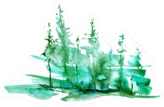 Watercolor Coniferous Forest Green Sticker
