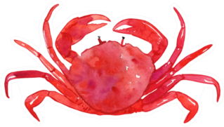 Watercolor Crab Illustration Sticker