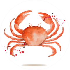 Watercolor Crab Sticker