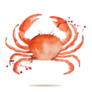 Watercolor Crab Sticker