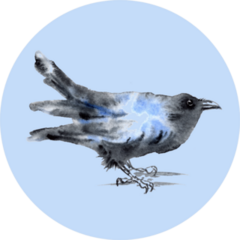 Watercolor Crow Raven Bird Painting Illustration Sticker