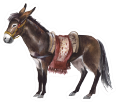 Watercolor Cute Donkey On The White Sticker