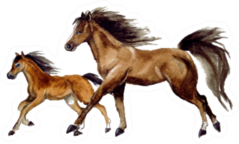 Watercolor Cute Horse And Baby Sticker