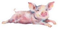Watercolor Cute Piggy Sticker