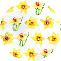 Watercolor Daffodil Spring Flowers Pattern Sticker
