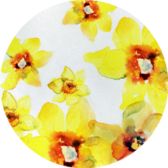 Watercolor Daffodil Spring Flowers Yellow Daffodils Sticker