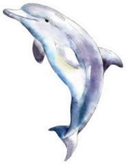 Watercolor Dolphin,  Hand-drawn Illustration Sticker