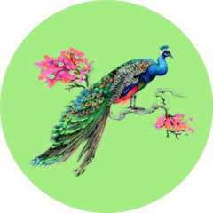 Watercolor Drawing Peacock On Blooming Tree Sticker