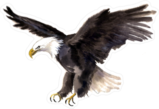 Watercolor Eagle Sticker