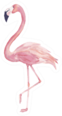 Watercolor Exotic Flamingo Sticker