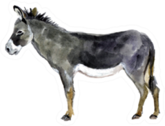 Watercolor Farm Animals Donkey Sticker