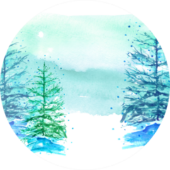Watercolor Fir Trees In Winter, In A Snowdrift Sticker