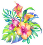 Watercolor Floral Illustration Hibiscus Sticker