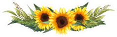 Watercolor Floral Wreath Of Sunflowers Sticker