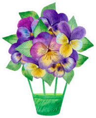 Watercolor Flower Illustration With Pansies Sticker