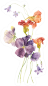 Watercolor Flowers Collected In A Bouquet Pansies, Nasturtium Sticker