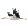 Watercolor Flying White Stork Sticker