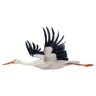 Watercolor Flying White Stork Sticker