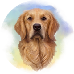 Watercolor Golden Retriever Sticker