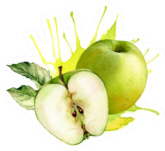 Watercolor Green Apple Fruit Sticker