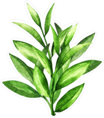 Watercolor Green Leaves Sticker