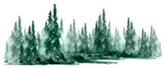 Watercolor Group Of Trees - Fir, Pine, Cedar, Fir-tree Sticker