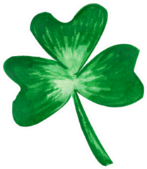 Watercolor Hand Drawn Illustration Green Clover Sticker