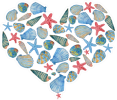 Watercolor Hand Drawn Seashell And Star Fish Sticker