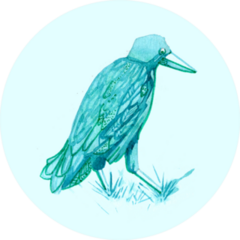 Watercolor Hand Drawn Turquoise Crow Sticker