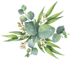 Watercolor Hand Painted Bouquet With Green Eucalyptus Leaves Sticker