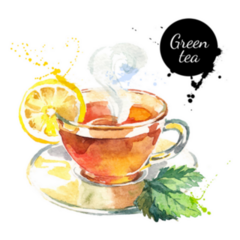 Watercolor Hand Painted Green Tea Illustration Sticker