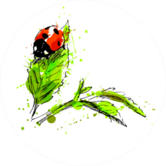 Watercolor Hand Sketch Ladybug Sticker