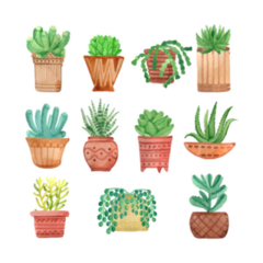 Watercolor Houseplants In Pots Sticker