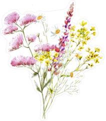 Watercolor Illustration Bouquet Of Wild Flowers Sticker