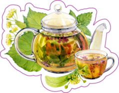 Watercolor Illustration Herbal Tea A Glass Teapot Sticker