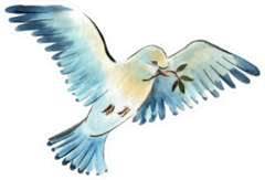 Watercolor Illustration Of A Bird Dove Sticker