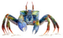 Watercolor Illustration Of A Sea Crab Sticker