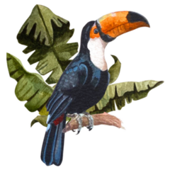 Watercolor Illustration Of A Toucan Sticker