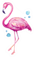 Watercolor Illustration Of Flamingo With Bubbles Sticker
