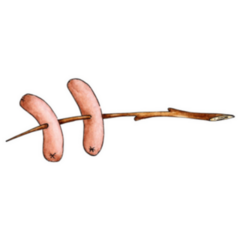 Watercolor Illustration Of Fried Sausages On A Stick Sticker
