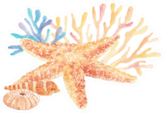 Watercolor Illustration Of Seashells And Starfish With Seaweed Sticker