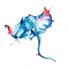 Watercolor Illustration Of Stingray Isolated On A White Sticker