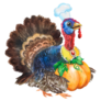 Watercolor Illustration Of Turkey Sticker