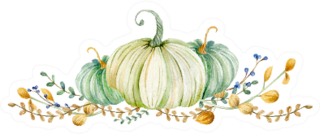 Watercolor Illustration Of White Pumpkins Sticker