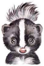 Watercolor Illustration Portrait Of A Skunk Sticker