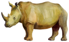 Watercolor Illustration Rhino Sticker