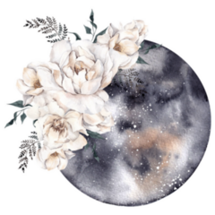 Watercolor Illustration With Moon And White Flowers Sticker