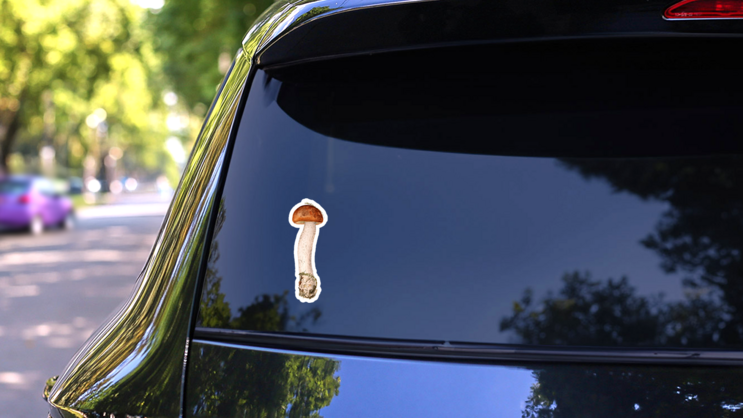 Watercolor Image Of Red Cup Mushroom Sticker on a Rear Car Window (New) example