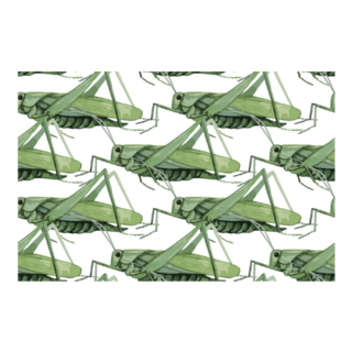 Watercolor Insect Grasshopper Sticker 