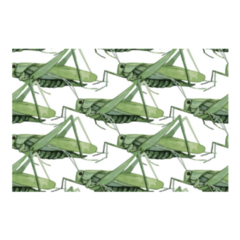 Watercolor Insect Grasshopper Sticker 